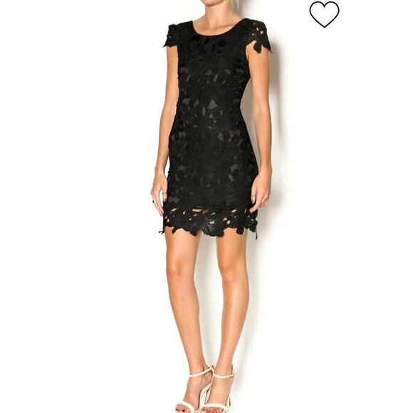 Romeo+Juliet Lace Cocktail Dress M - Picture 1 of 9
